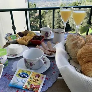 Charming Cozy Retreat - Terrace & Private Balcony Coimbra